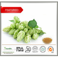 Bulk Hops Extract / Hops Flower Extract Powder, 4%, 8% flavone, Xanthohumol 5%